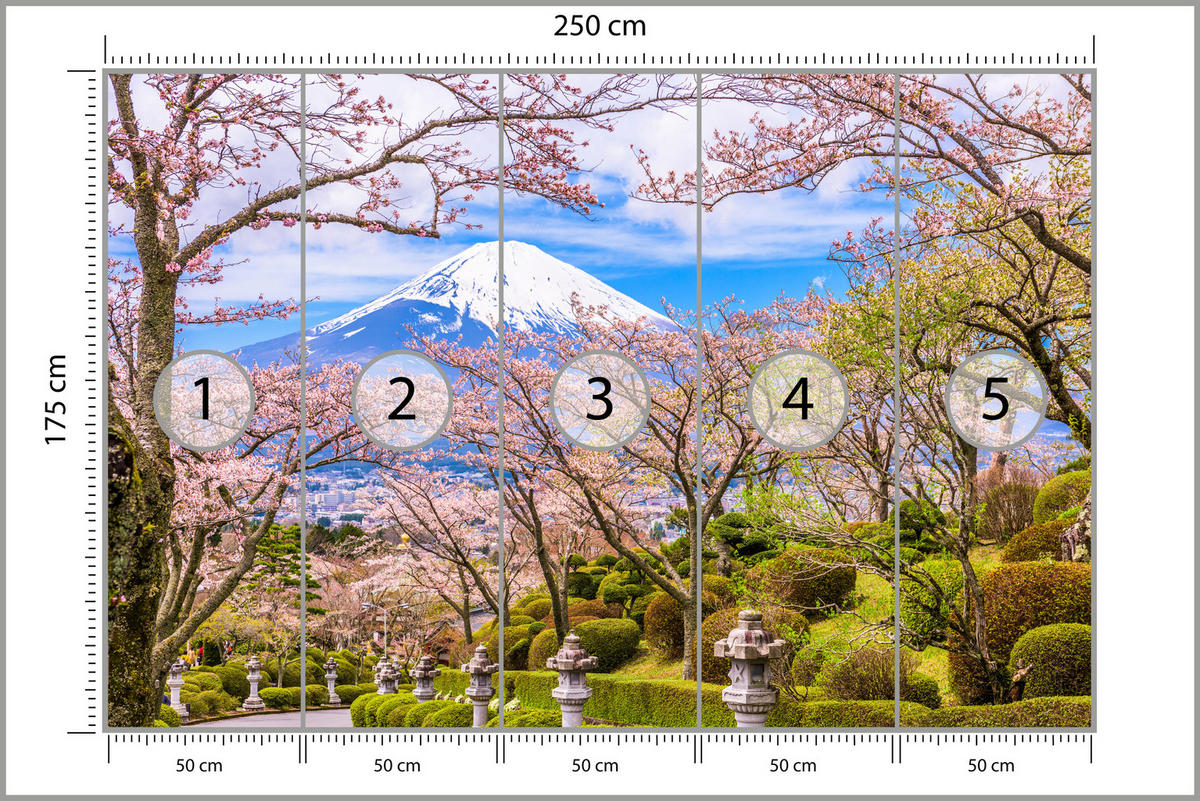 FOTOTAPETE für Wohnzimmer Peace Park Fuji View Kirschblüten 250x175 - Rosa/Braun, Papier (250/175cm) - Muralo