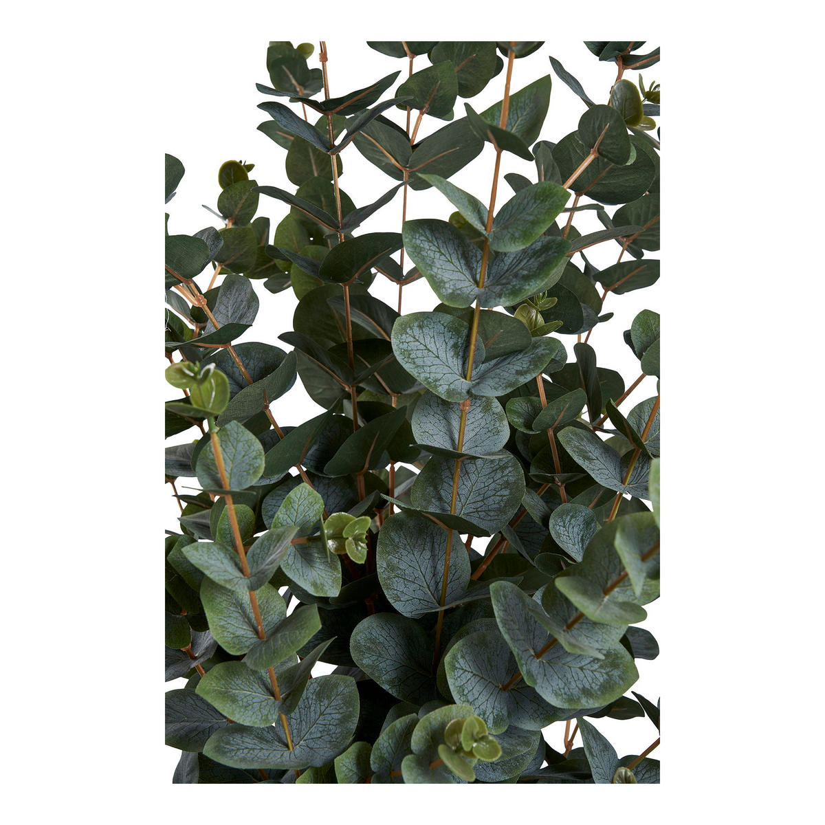 KÜNSTLICHER Eukalyptusbaum 120 cm Grün - Grün, Kunststoff (120cm) - tinkaro