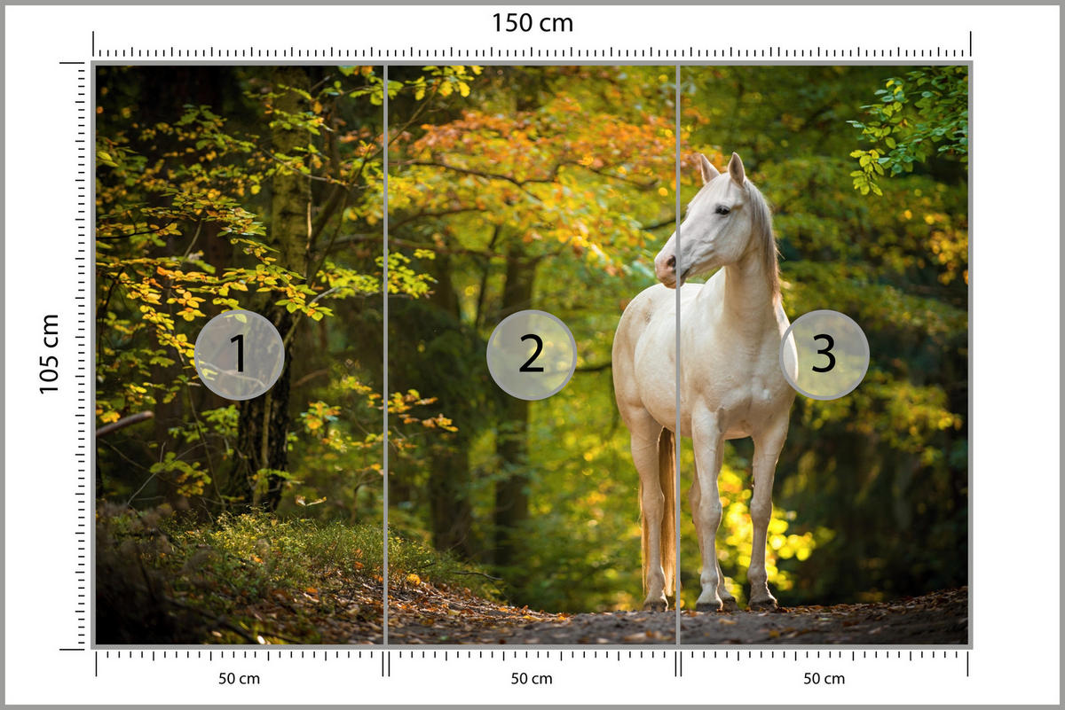 FOTOTAPETE für Schlafzimmer Weißes Pferd Wald Bäume Blätter 150x105 - Gelb/Beige, Papier (150/105cm) - Muralo