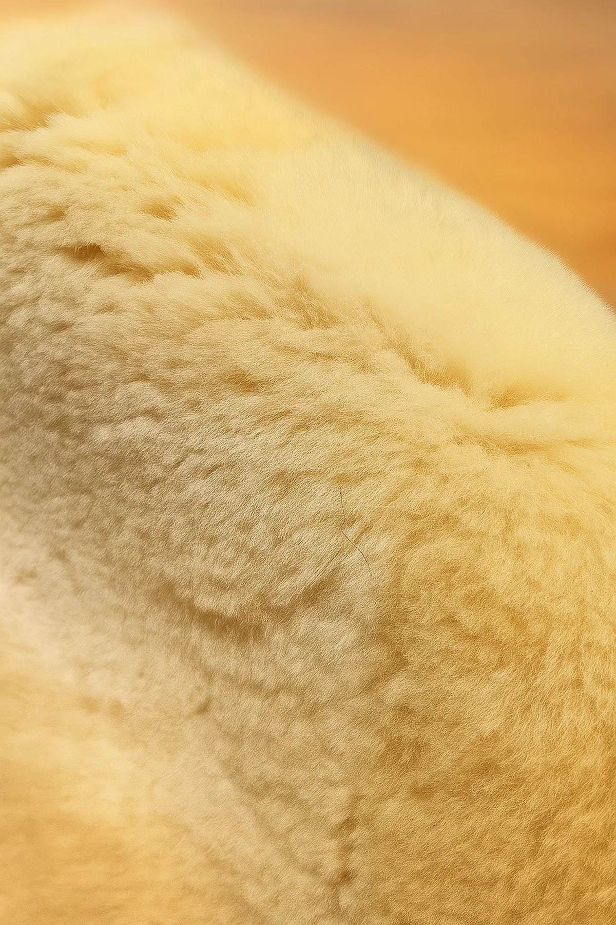 SCHAFFELL Medizinisch gegerbt – Wascharte US Merino Weiß ca. 140 cm - Creme/Weiß, Fell (75/140cm) - Provellus