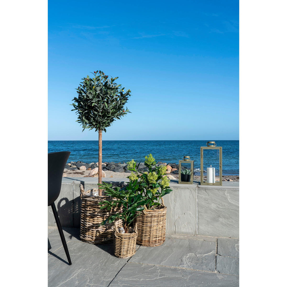 SKIMMIA-BAUM PE-Kunststoff Grün - Grün, Kunststoff (75cm) - tinkaro