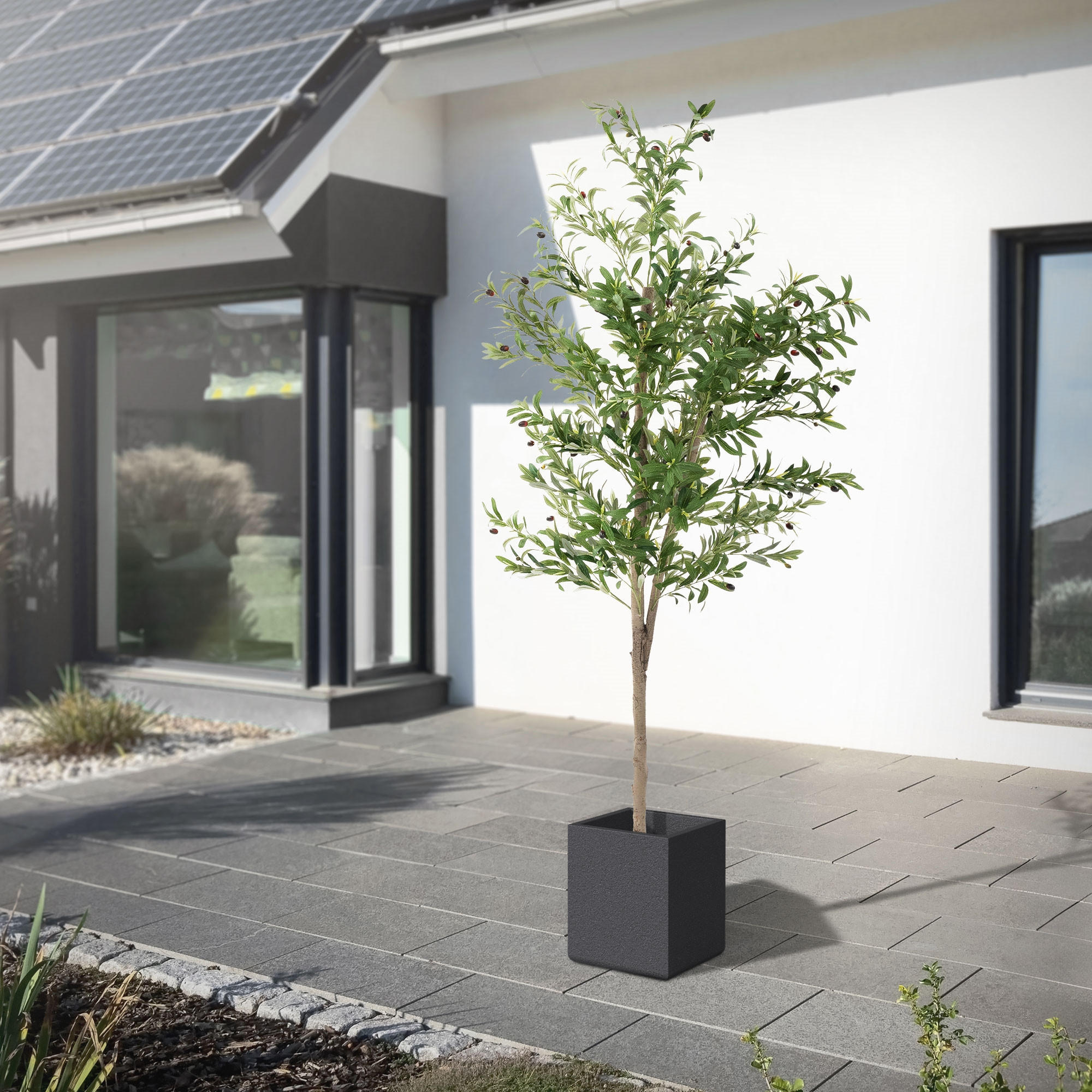 KUNSTPFLANZE Olive - Anthrazit/Grün, Holz/Kunststoff (210cm) - ML-DESIGN