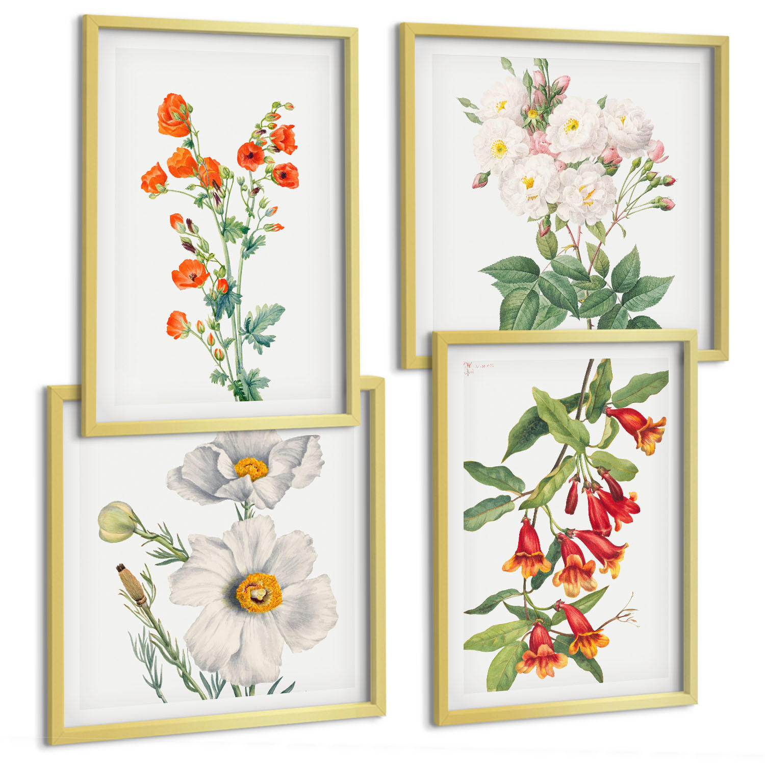BILDER SET 4er Set - 50x50 cm & 40x60 cm Goldrahmen - Retro-Blumenmalerei - Goldfarben, Kunststoff (50/50cm) - TULUP