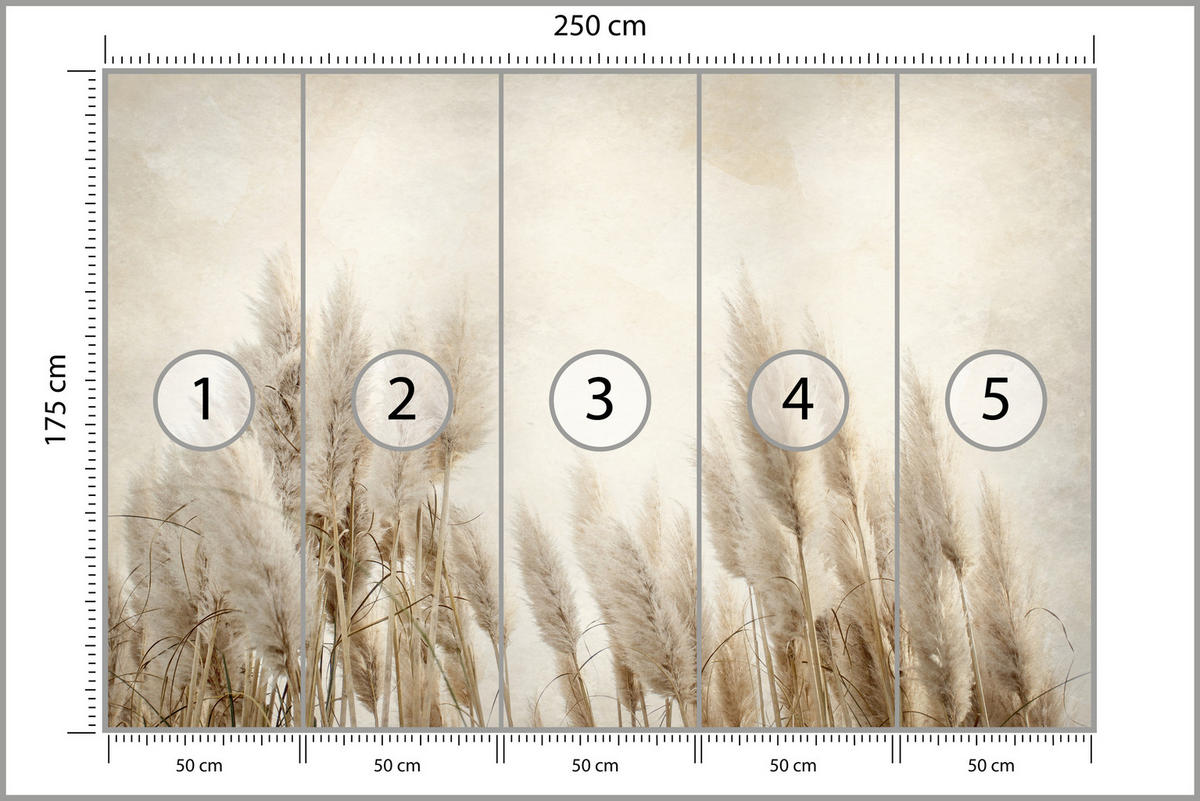 FOTOTAPETE für Schlafzimmer Boho Pampasgras Beton Pflanzen Vintage 250x175 - Beige/Braun, Papier (250/175cm) - Muralo