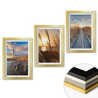 WANDBILDER 3er Set - 20x30 cm Goldrahmen - Leuchtturm-Grassteg - Goldfarben, Kunststoff (20/30cm) - ArtPrintCave