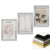WANDBILDER 3er Set - 20x30 cm Silberner Rahmen - Matisses stilvolle Pflanzenbilder - Silberfarben, Kunststoff (20/30cm) - ArtPrintCave