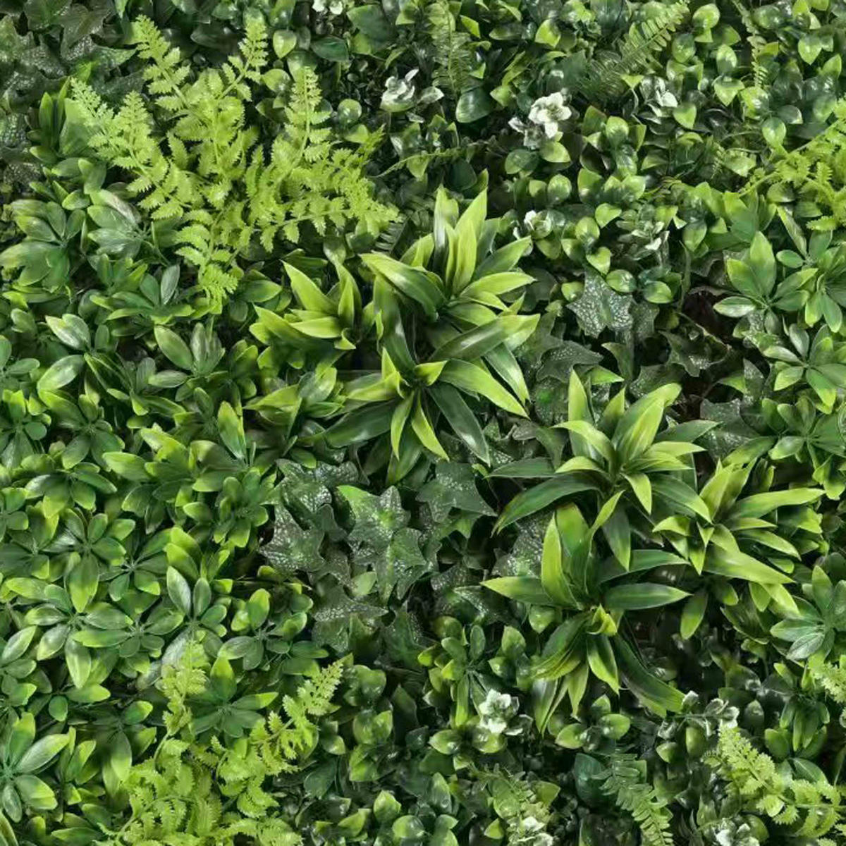 PFLANZENWAND, Grün - Grün, Kunststoff (100/100/3.5cm) - Oviala