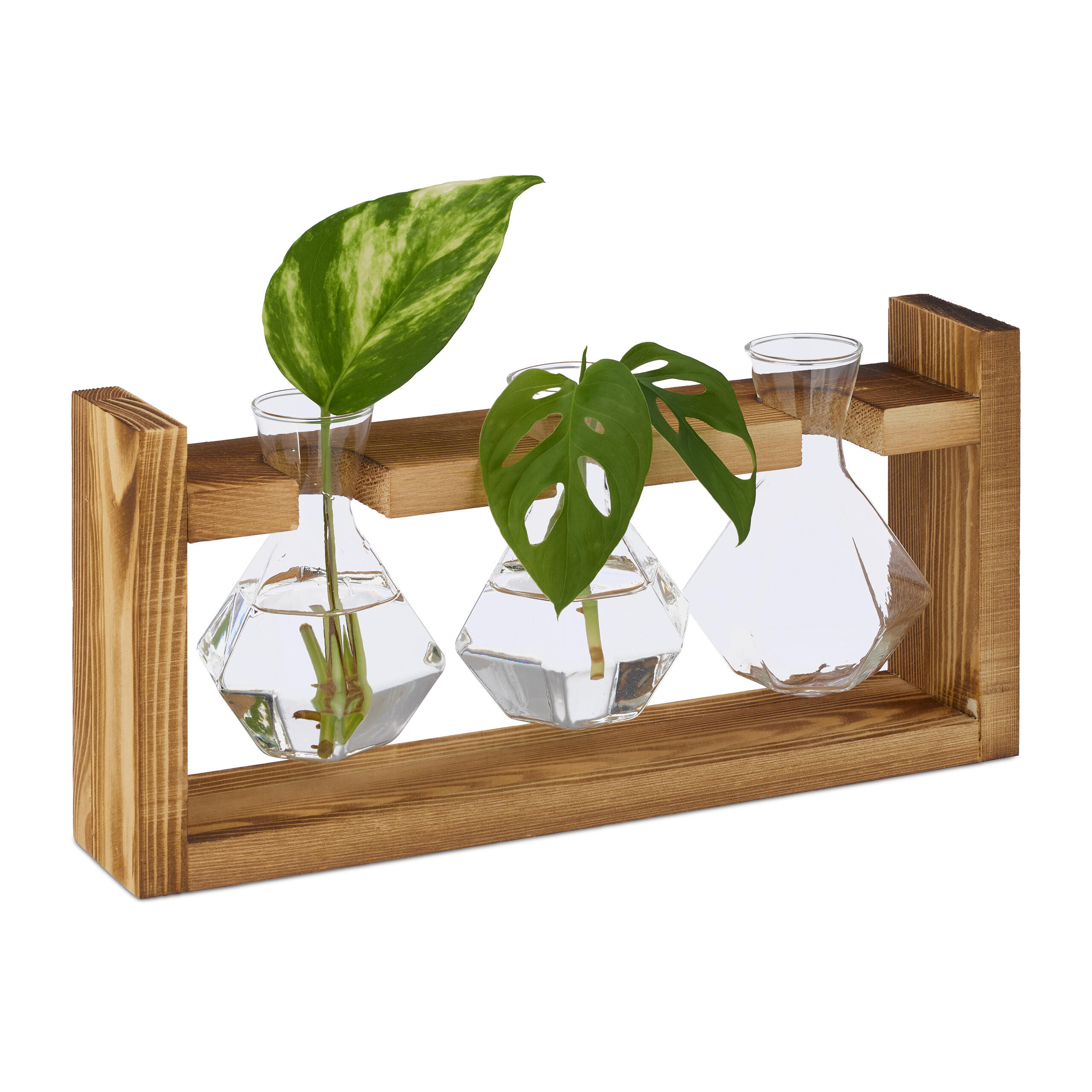 REAGENZGLAS-VASE - Multicolor, Glas/Holz (13cm) - Relaxdays