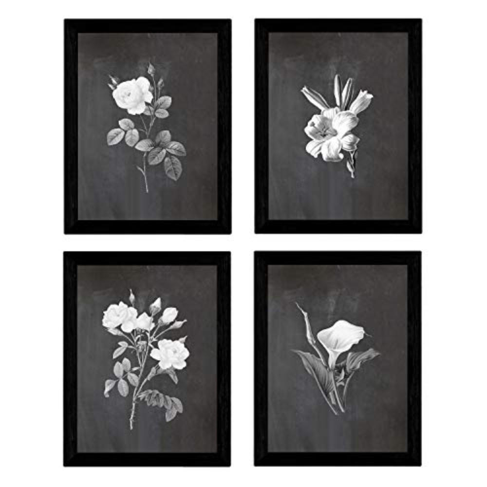 POSTER Set mit 4 Botanische Schwarz Hintergrund helle Blumen A4 Rahmenlos - Klar, Papier (29.7/3cm) - Nacnic