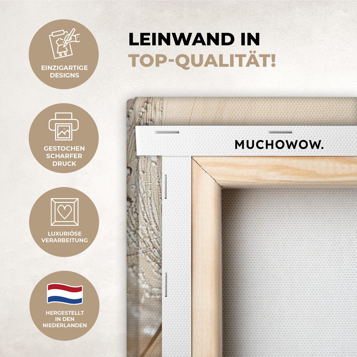 LEINWANDBILD Löwenzahn - Abstrakt - Natur - Beige Room Decor 30x40 cm - Braun, Textil (30/40cm) - MuchoWow