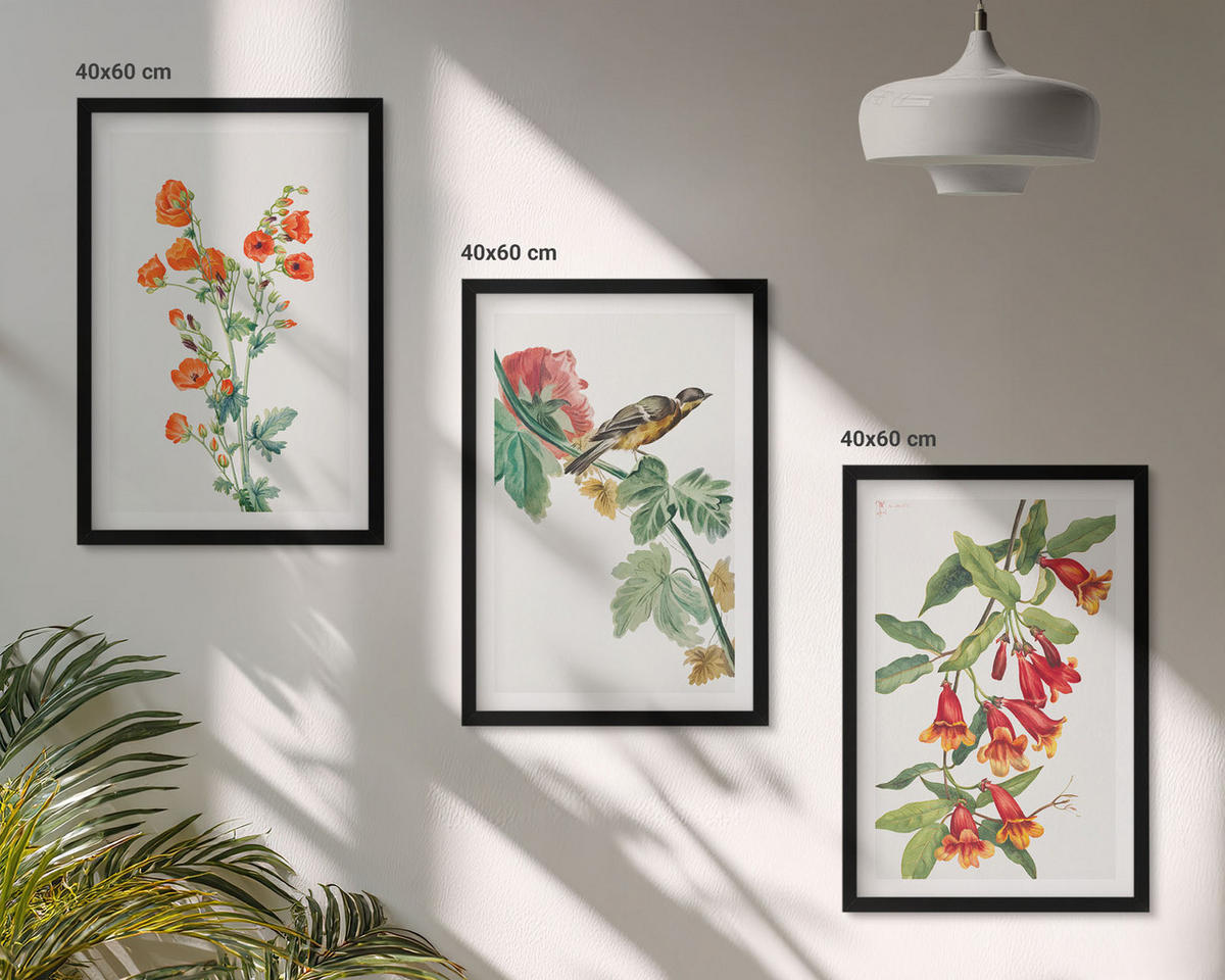BILDER SET 3er Set - 40x60 cm Schwarzer Rahmen - Gemalte Blumen und ein Vogel - Schwarz, Kunststoff (40/60cm) - TULUP