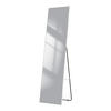 STANDSPIEGEL Wandmontage oder Freistehend Chromer Metallrahmen 160/40/2 cm - Silberfarben, Glas/Metall (40/160/160cm) - EMKE