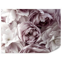 FOTOTAPETE für Badezimmer Pastell Pfingstrosen Blumen 300x210 - Beige/Violett, Papier (300/210cm) - Muralo
