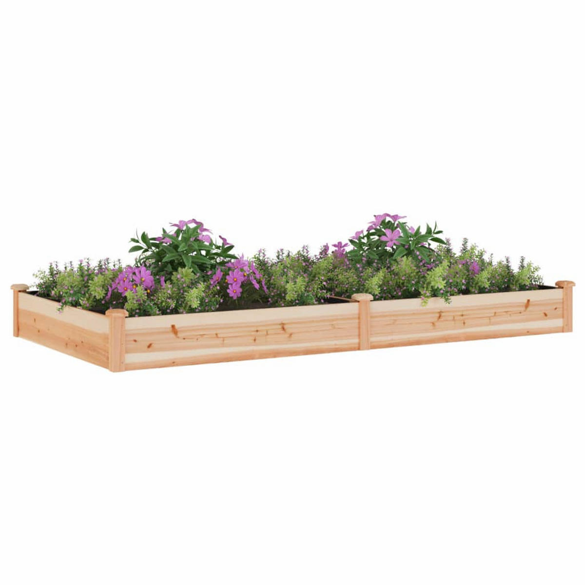 HOCHBEET mit Einsatz 240x120x25 cm Massivholz Tanne - Naturfarben, Holz (240/25/120cm)