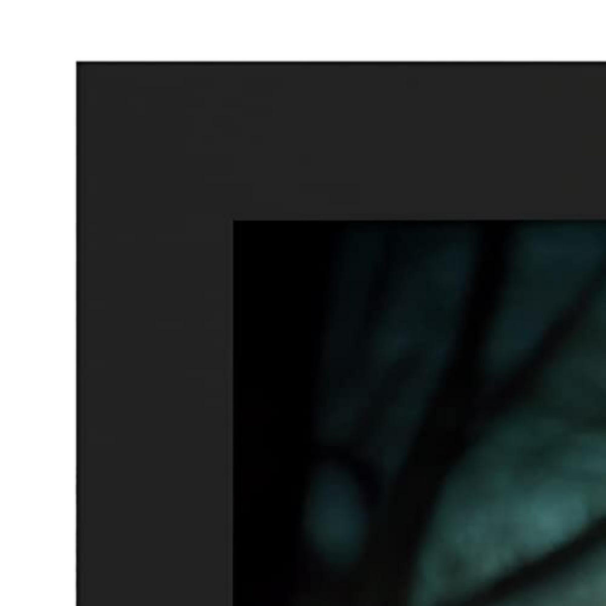 POSTER Set mit 4 Hunde im T Burton Goth Stil A4 Schwarzer Rahmen - Schwarz, Papier (29.7/3cm) - Nacnic