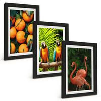 BILDER SET 3er Set - 20x30 cm Schwarzer Rahmen - Fruchtige Akzente in den Tropen - Schwarz, Kunststoff (20/30cm) - TULUP