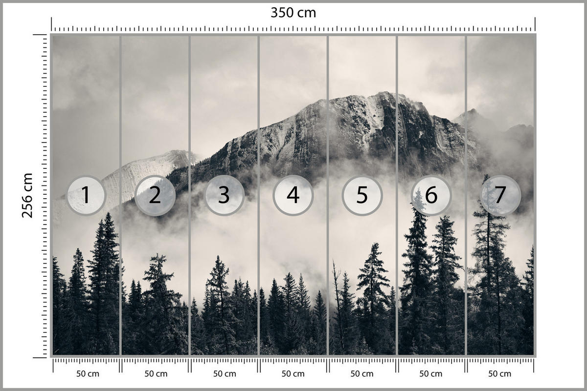 FOTOTAPETE für Wohnzimmer Nadelwald im Nebel im Hintergrund Berge 350x256 - Beige/Schwarz, Papier (350/256cm) - Muralo