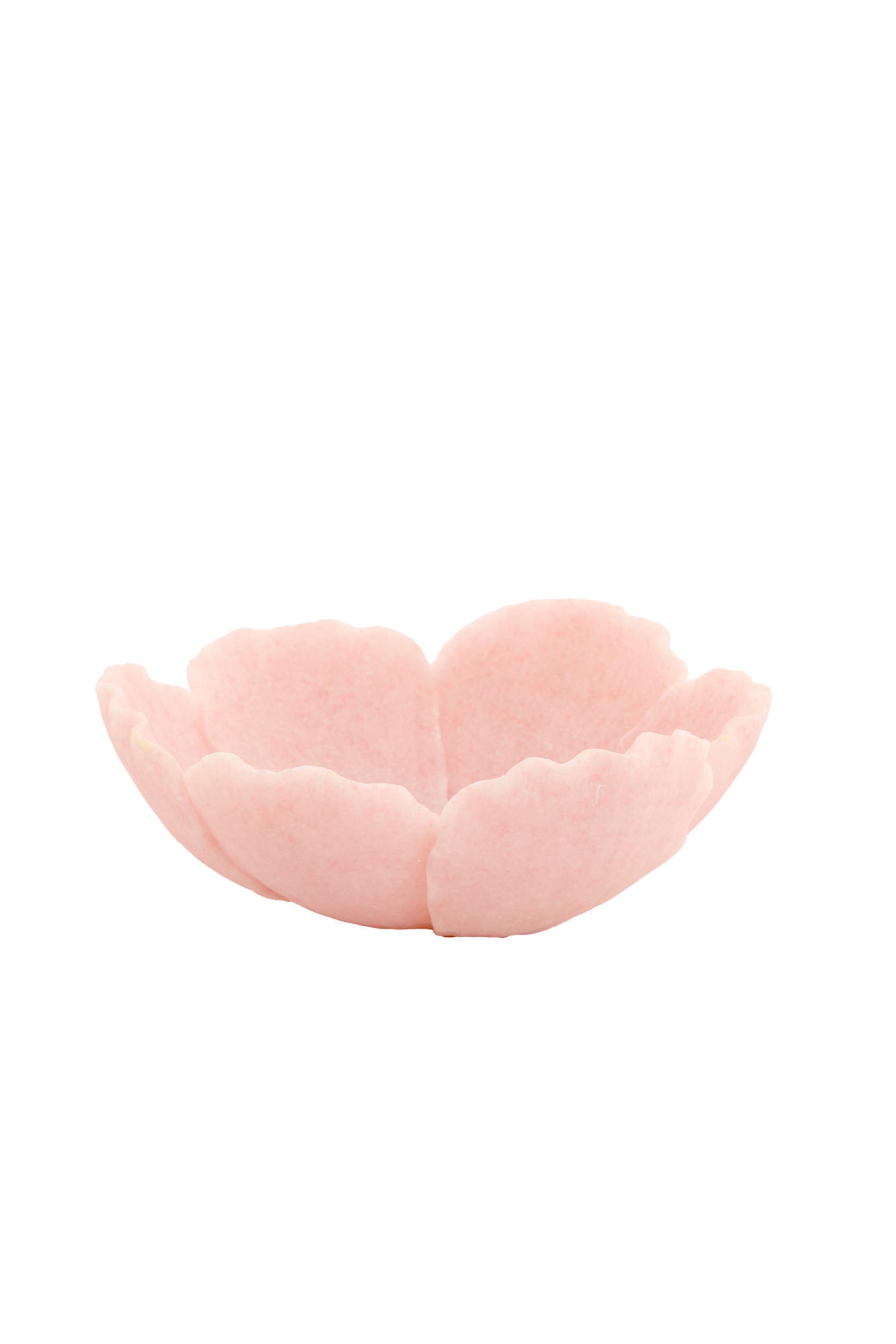 SCHALE Freesia Rosa Ø25,5/9,5 cm - Pink, Kunststoff (9.5cm) - Light & Living