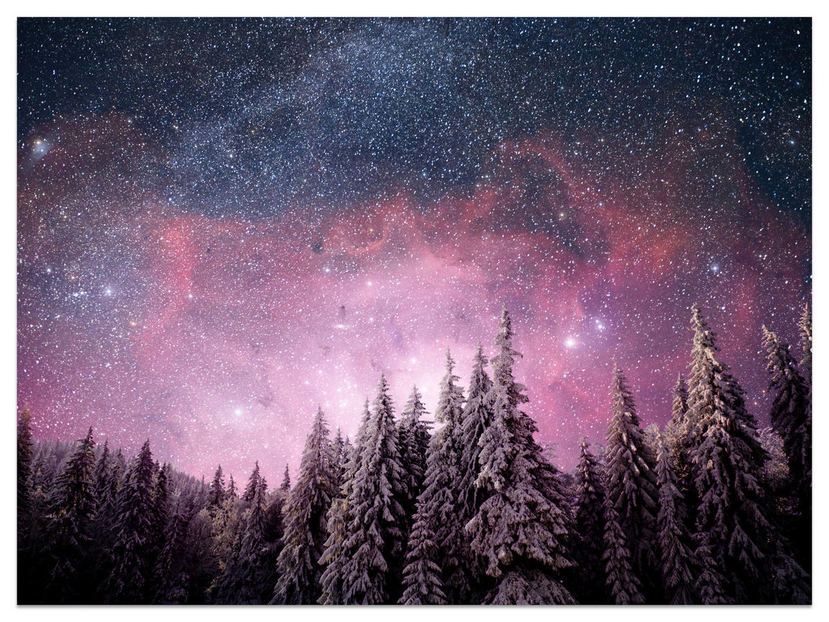 FOTOTAPETE für Schlafzimmer Verzauberter Tannenwald Winter Aurora 500x350 - Violett/Schwarz, Papier (500/350cm) - Muralo