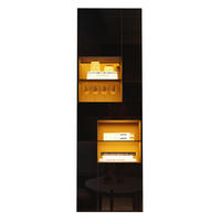 VITRINE 55/38/170 cm in Schwarz mit LED-Beleuchtung und Hochglanzfront - Schwarz, Holzwerkstoff (55/170/38cm) - Flora Grace