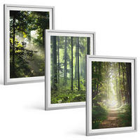 BILDER SET 3er Set - 40x60 cm Silberner Rahmen - Grüne Wälder mit Lichtstrahlen - Silberfarben, Kunststoff (40/60cm) - TULUP