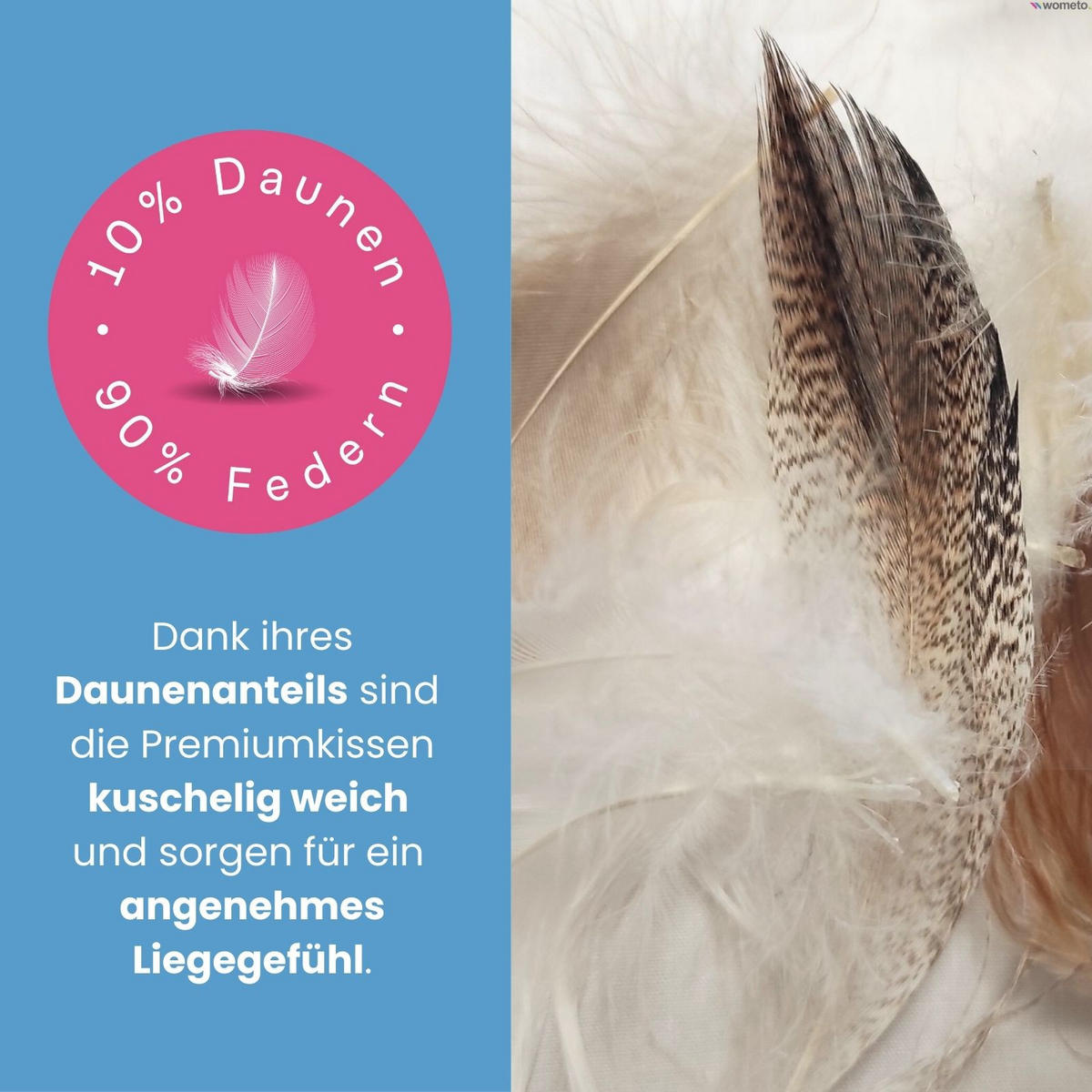 KOPFKISSEN 90% Federn & 10% Daune 80/80 cm - Weiß, Textil (80/80cm) - wometo