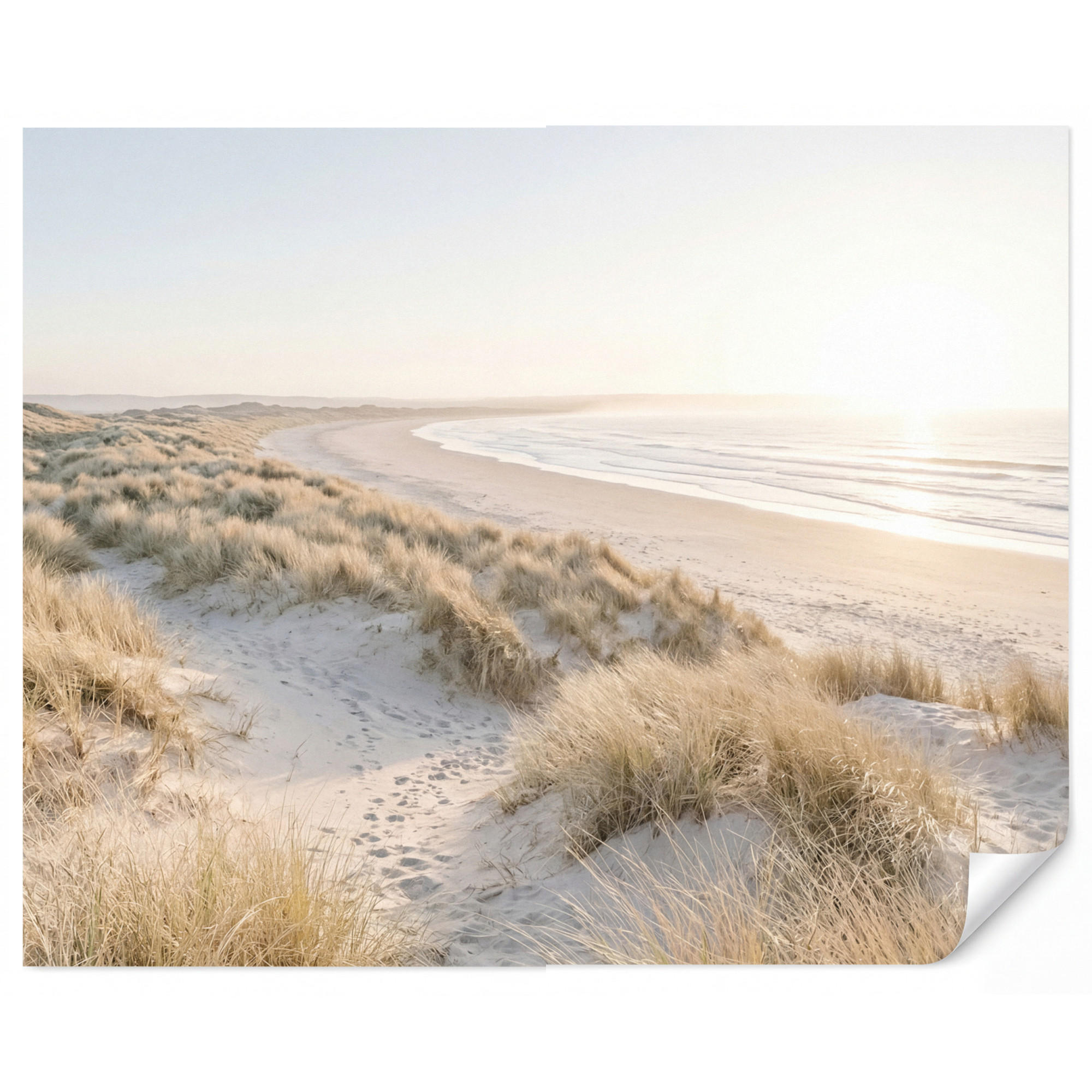 OnlyWow Tapete Sand 240x200 cm