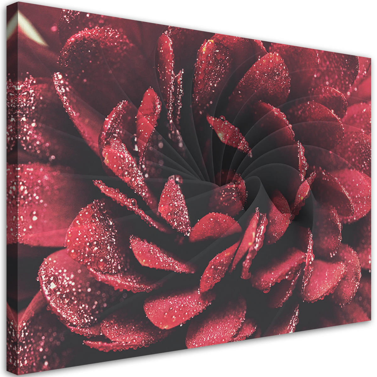 WANDBILD makroblume - Rot, Textil (60/40cm) - Feeby