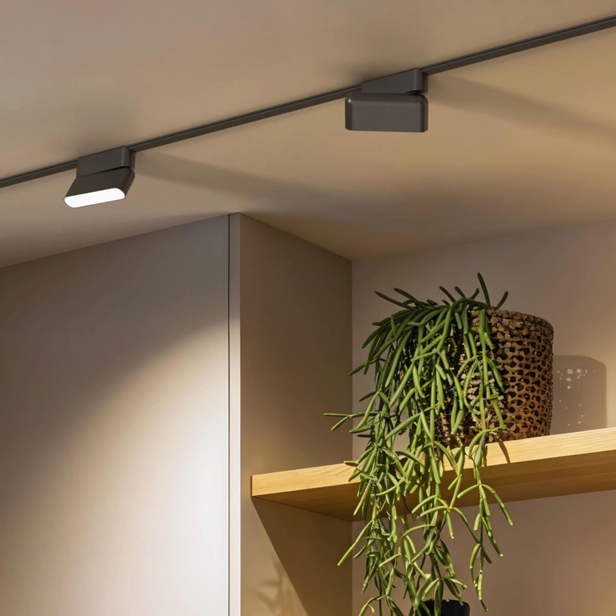 LEUCHTE OXONIA 11 Schwarz 6 W - Schwarz, Metall (115/25.8/8cm) - Rendl