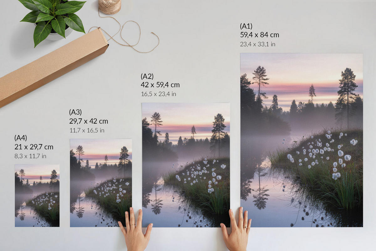 POSTER - 42x59 cm - And - See am Morgen - Grau, Textil (42/59/0.1cm) - TULUP