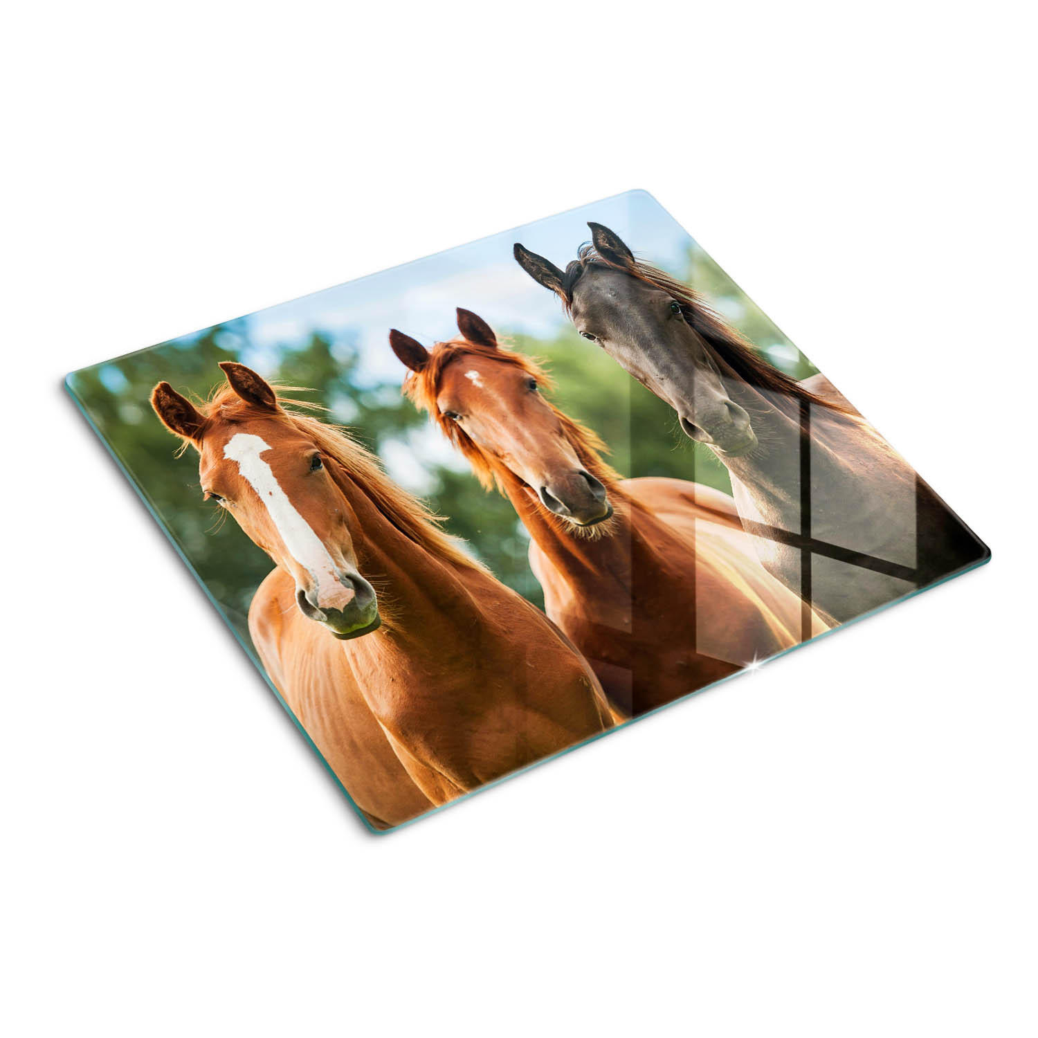GLASPLATTE 60x52 cm Drei Pferde - Braun, Glas (60/52cm) - TULUP