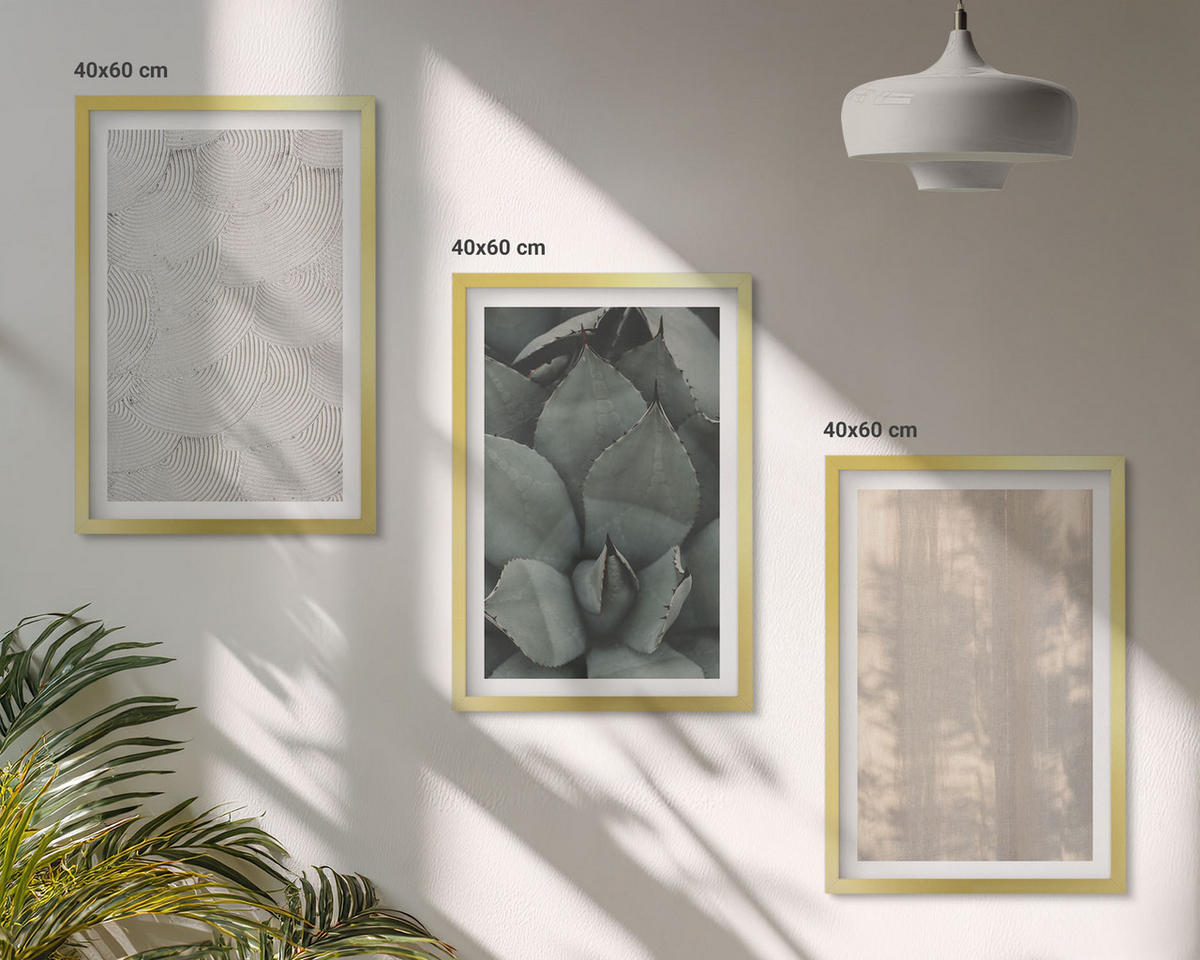 BILDER SET 3er Set - 40x60 cm Goldrahmen - Sommerliche tropische Texturen - Goldfarben, Kunststoff (40/60cm) - TULUP