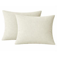 KISSENBEZUG Stone Washed 40x40 cm aus 100% Baumwolle, Renforce Kissenhülle 40 x 40 im 2er Set - Leinen - Naturfarben, Textil (40/40cm) - Carpe Sonno