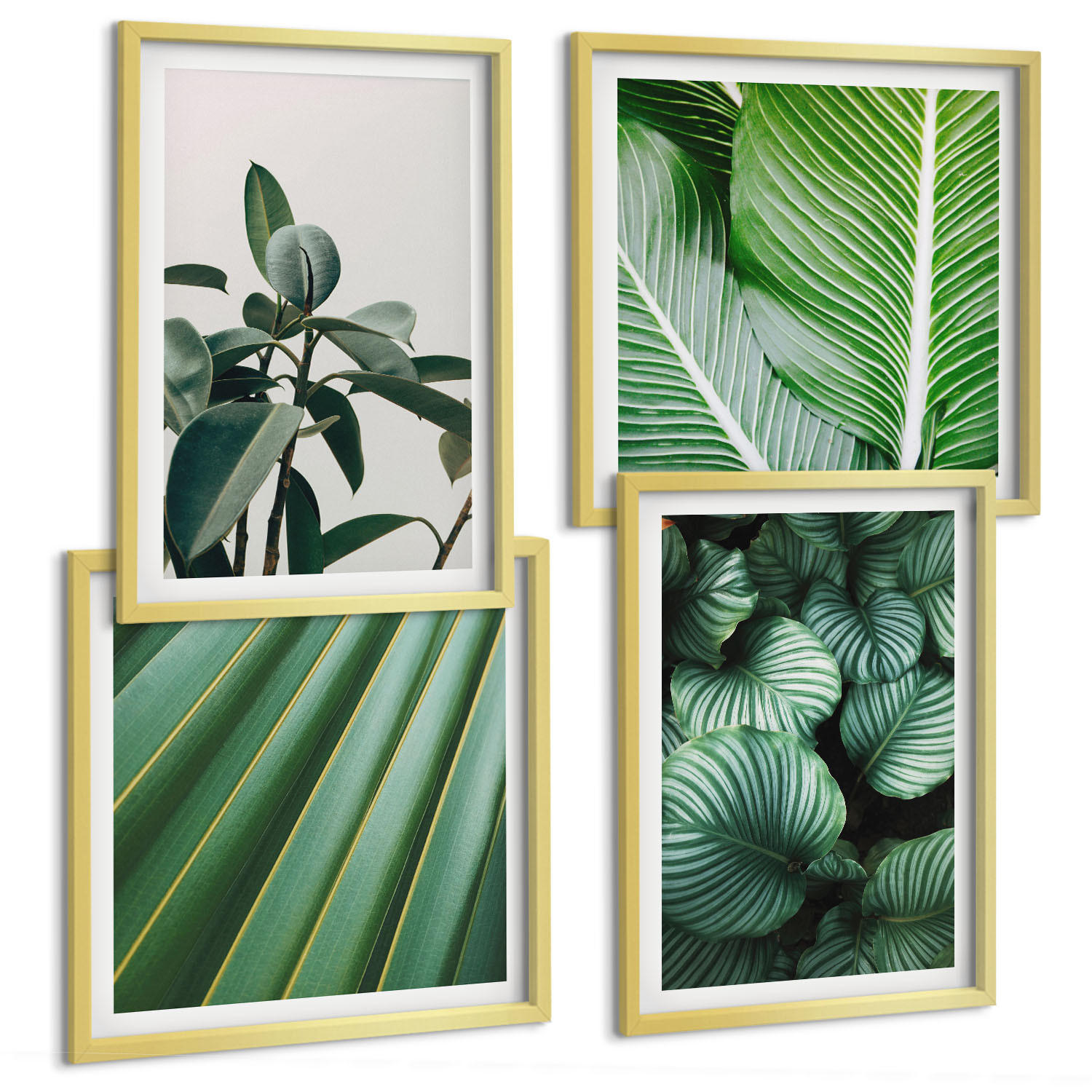 BILDER SET 4er Set - 50x50 cm & 40x60 cm Goldrahmen - Tropische Blätter in Grün - Goldfarben, Kunststoff (50/50cm) - TULUP