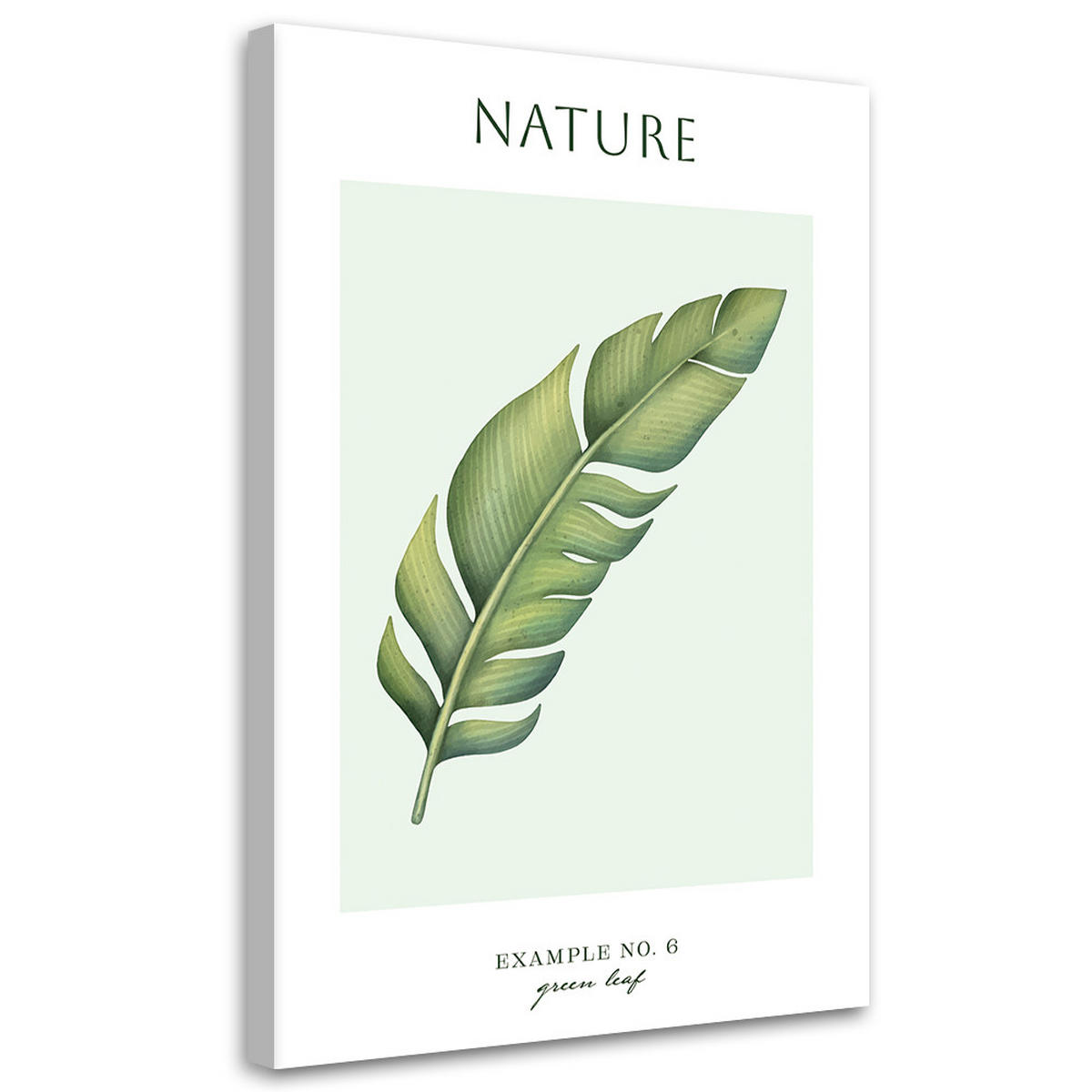 WANDBILD grünes blatt natur - Grün, Textil (40/60cm) - Feeby