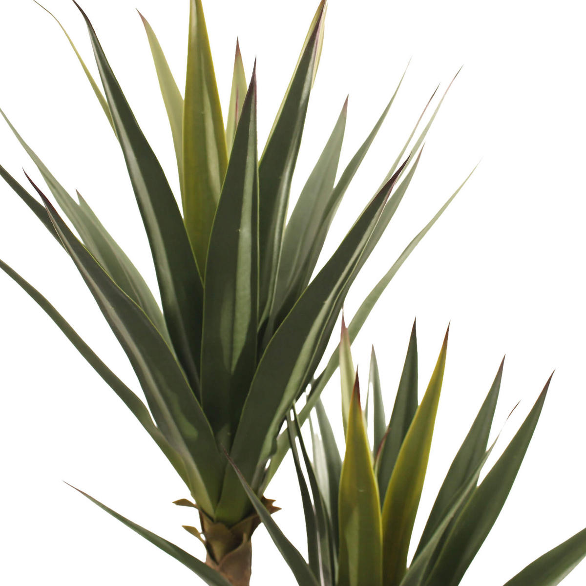 KÜNSTLICHE Yucca 80/80/155 cm - Grün, Kunststoff (150cm) - Mobili Rebecca