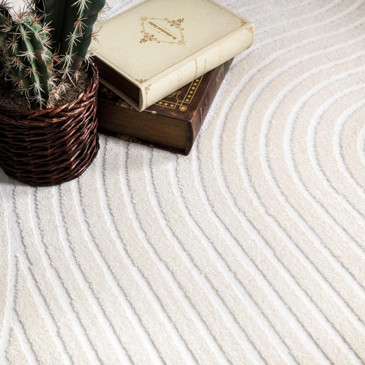 KURZFLORTEPPICH 80/150 cm Luzern 651 - Creme, Kunststoff (80/150cm) - Paco Home