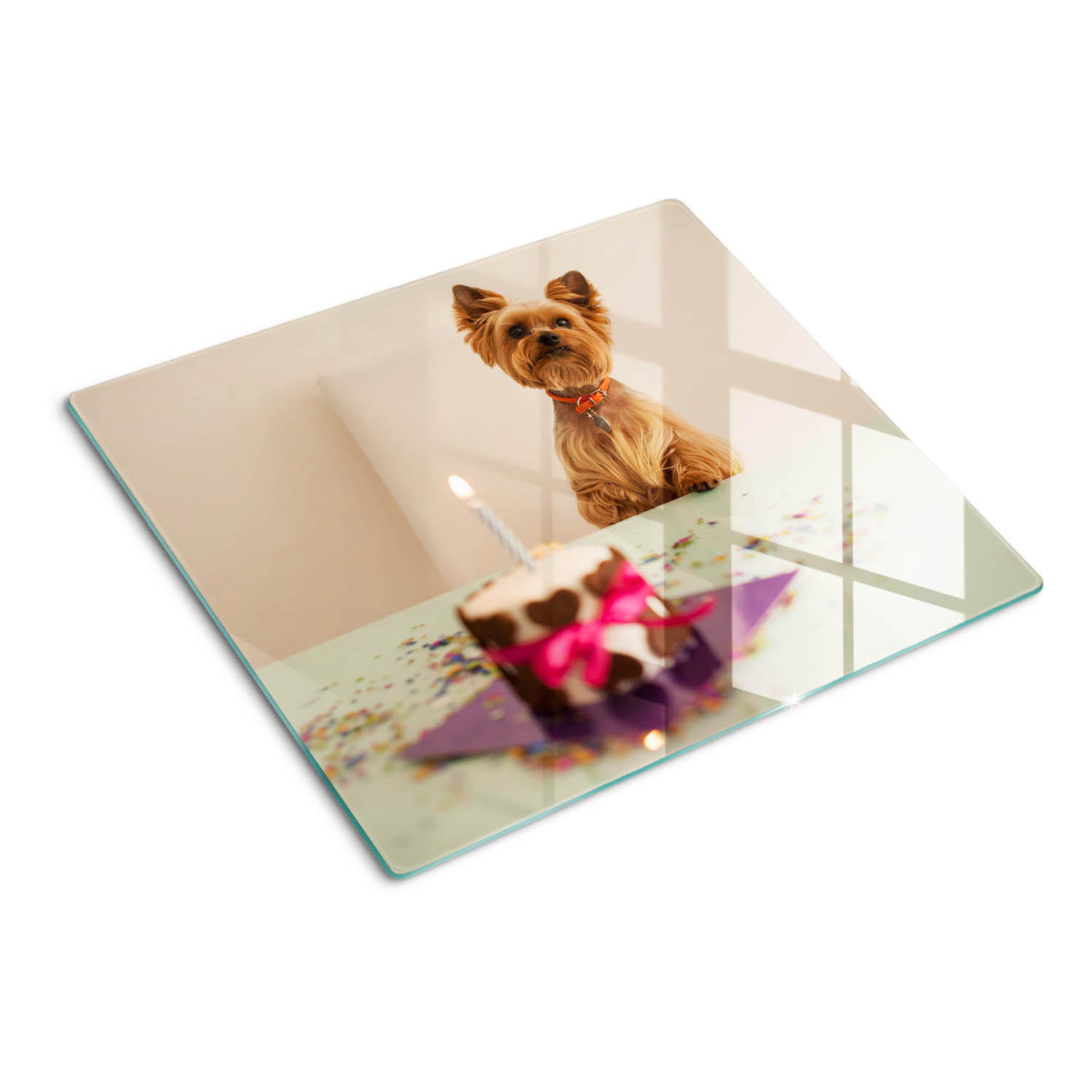 GLASPLATTE 60x52 cm Hund mit Kuchen - Braun/Dunkelblau, Glas (60/52cm) - TULUP
