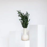 EUKALYPTUS Pavi - der Schicke - grün / 60 cm - Grün, Naturmaterialien (60cm) - Lykke & You