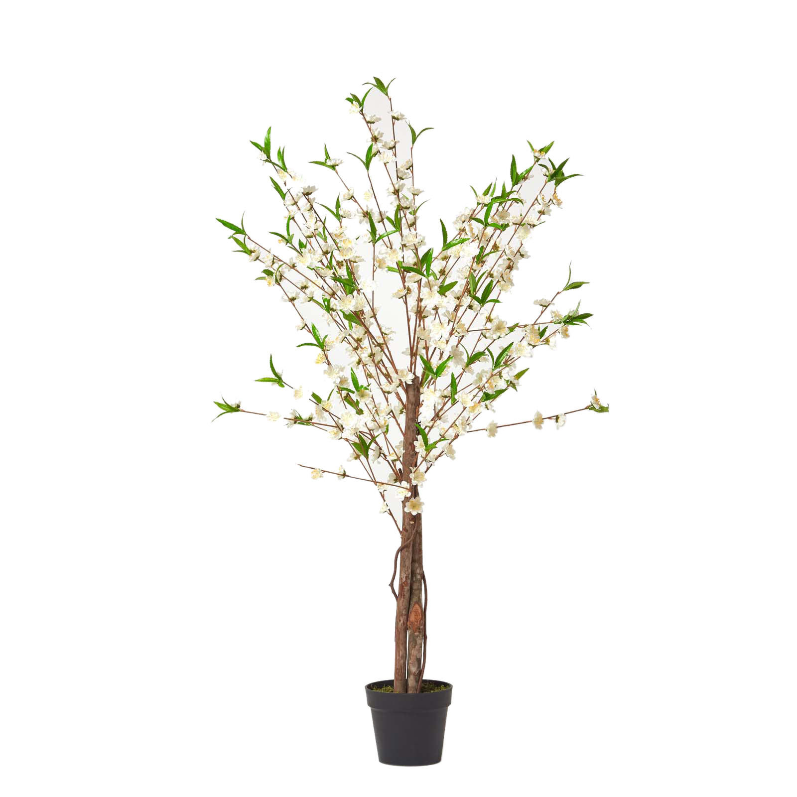 KUNSTBAUM Blüten creme, 155 cm hoch - Creme, Kunststoff (150cm) - Homescapes