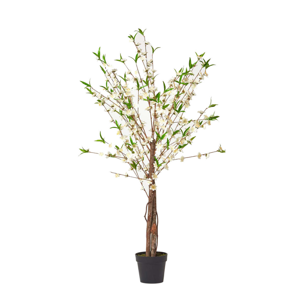 KUNSTBAUM Blüten creme, 155 cm hoch - Creme, Kunststoff (150cm) - Homescapes