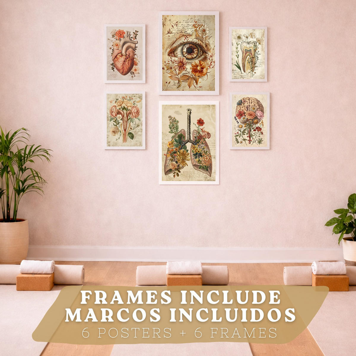 POSTER Kollektion aus 6 Anatomie Drucke und mit Herz Schädel Lungen Nieren und Gehirn Pergament Hintergrund dekoration Größe Weißer Rahmen A3 & A4 - Weiß, Papier (29.7/42/3cm) - Nacnic
