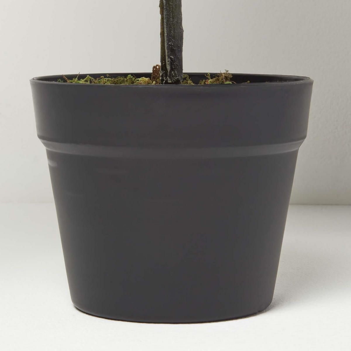 KUNSTPFLANZE Geigenfeige, 75 cm - Grün, Kunststoff (75cm) - Homescapes