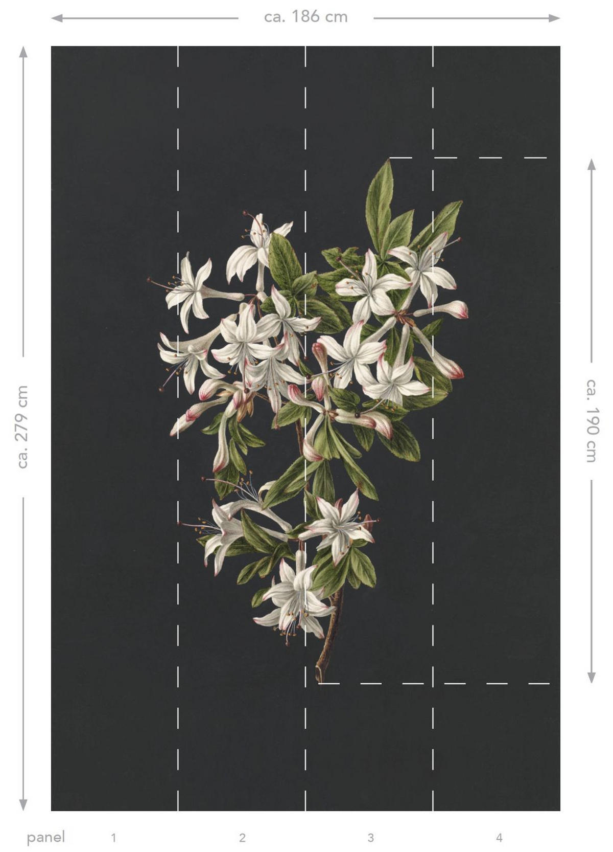 FOTOTAPETE Blüte 186 x 279 cm - Schwarz, Papier (186/279cm) - ESTAhome