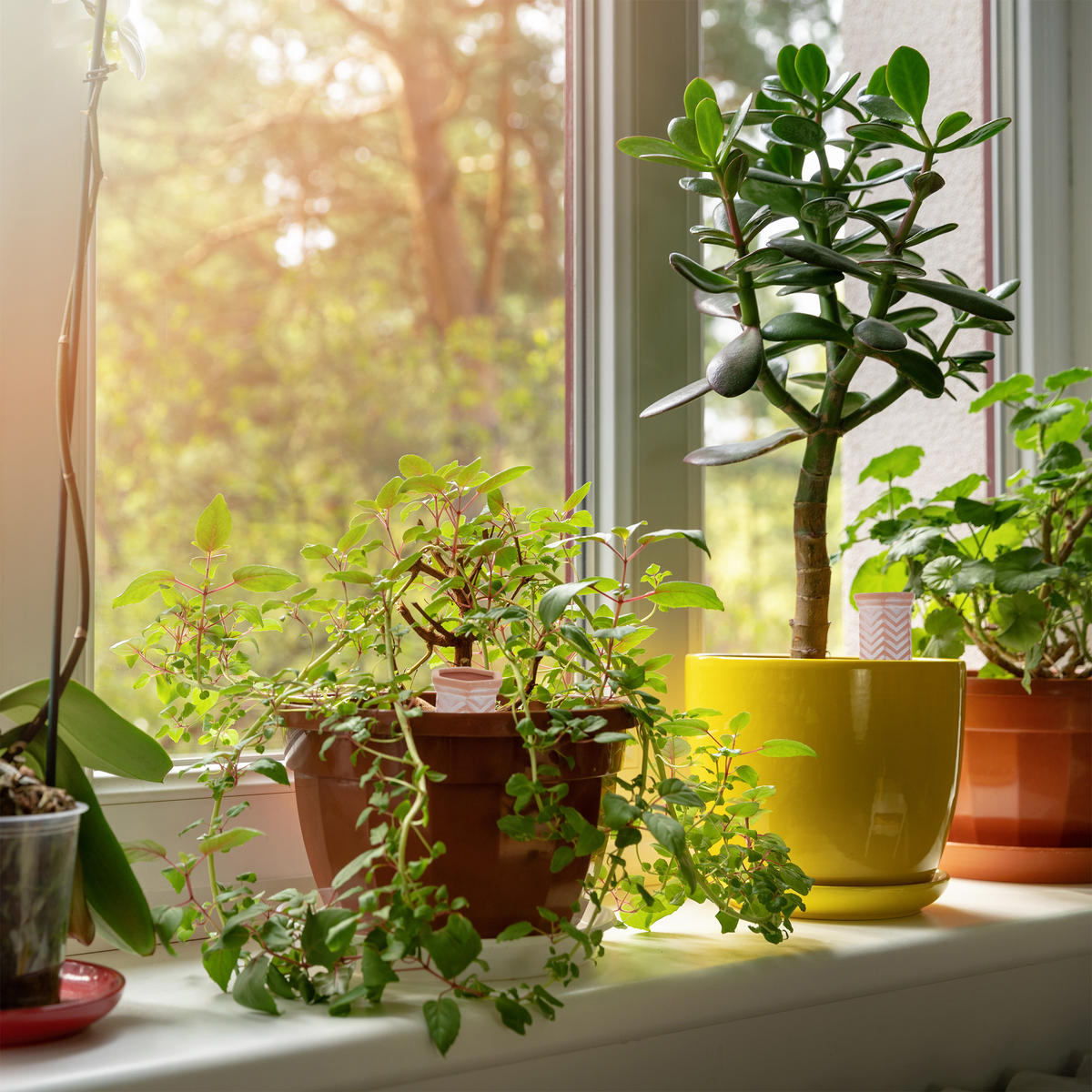 4XTONKEGEL - Multicolor, Keramik (5.5/18/5cm) - Relaxdays