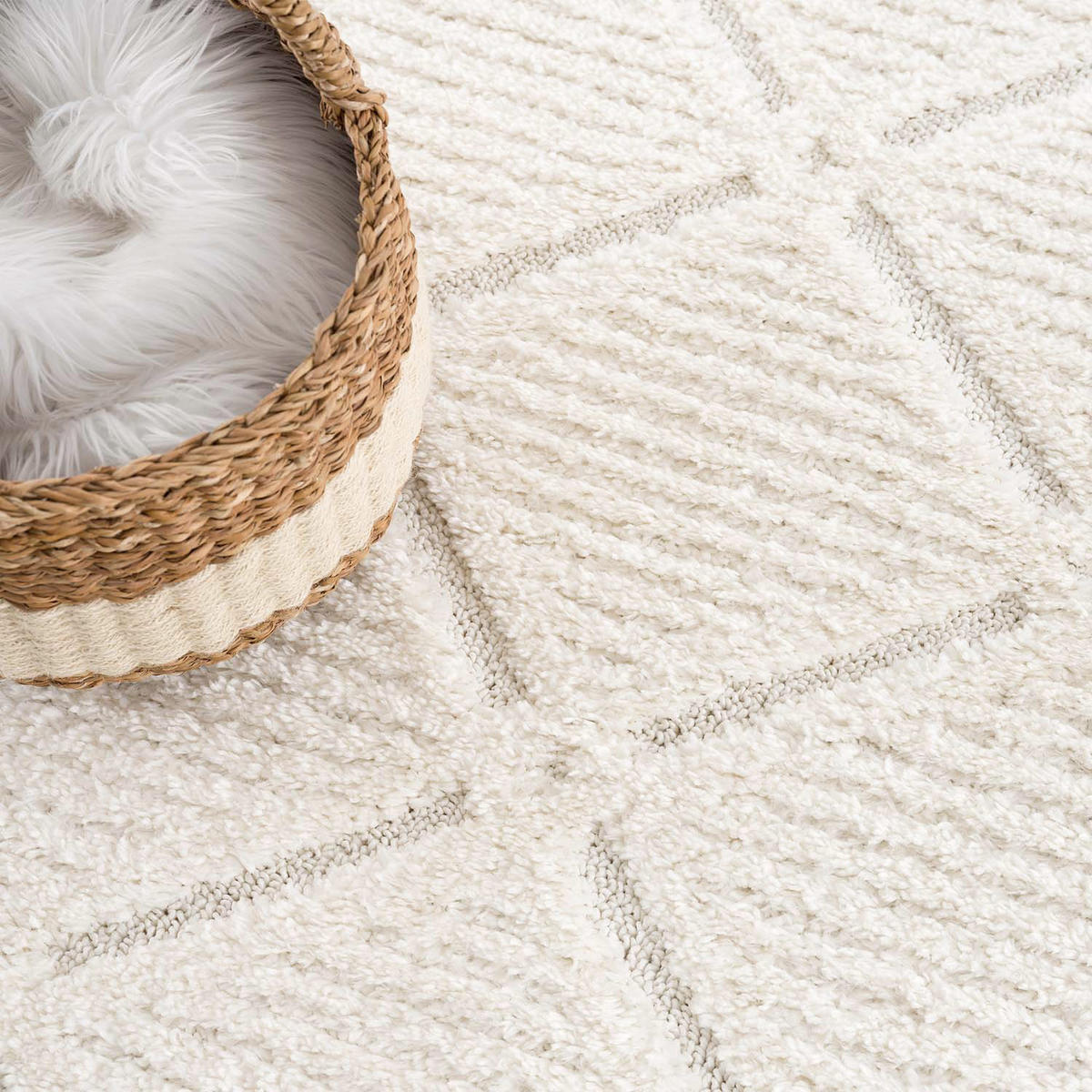 HOCHFLOR-TEPPICH Focus 2997 Creme 140x200 cm - Creme, Textil (140/200cm) - carpet city