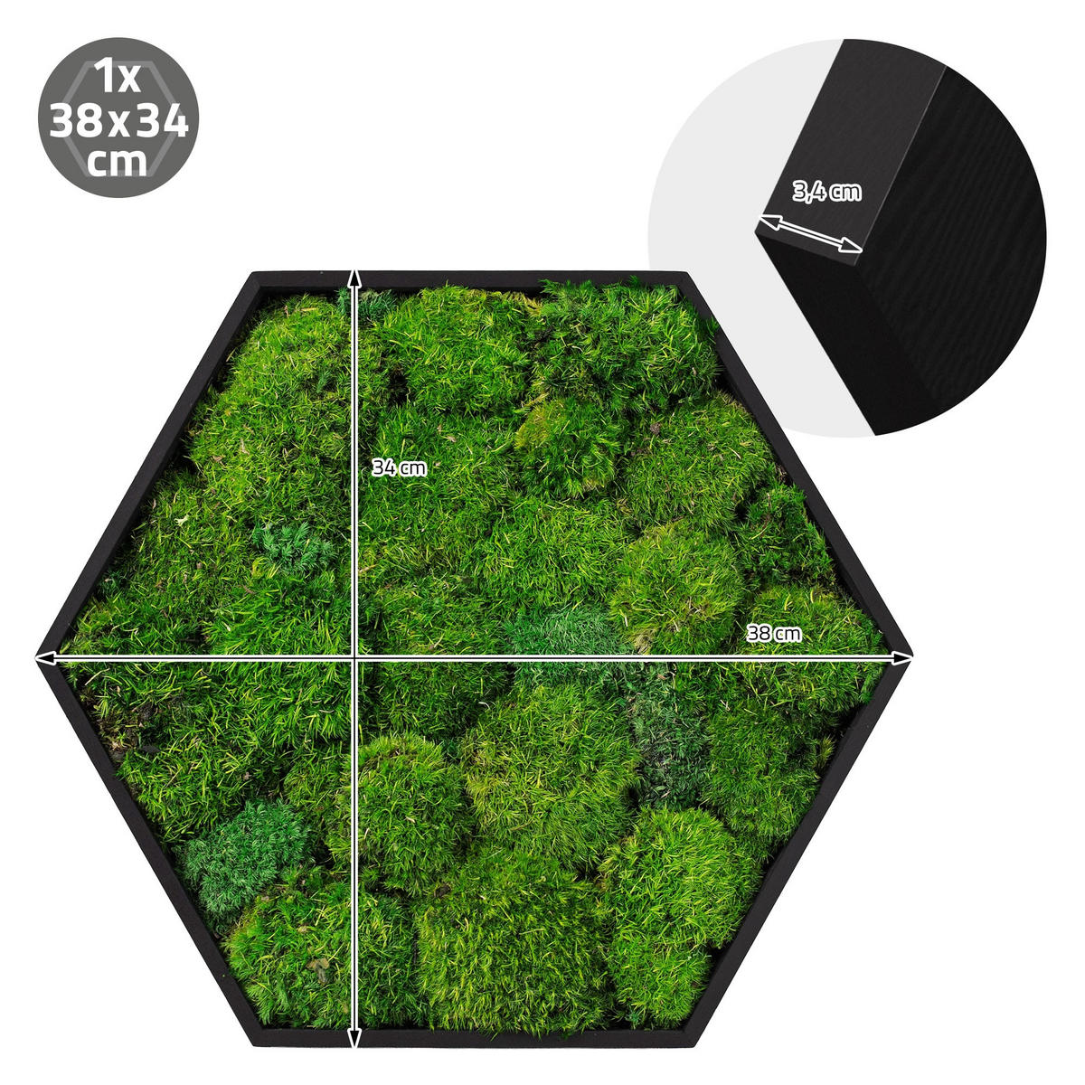 MOOSBILD Hexagon 38x34 cm Mooswand Indoor mit echtem Kugelmoos und Holzrahmen Grün Pflegefrei - Grün, Naturmaterialien (38/34/3.4cm) - ECD-Germany