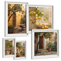 BILDER SET 5er Set - 50x50 cm & 20x30 cm & 40x60 cm Weißer Rahmen - Terrasse mit Zitrusbäumen - Weiß, Kunststoff (40/60cm) - TULUP