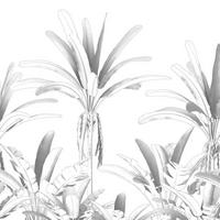 FOTOTAPETE Dschungelmuster 400 x 280 cm - Schwarz, Papier (400/280cm) - Sanders & Sanders