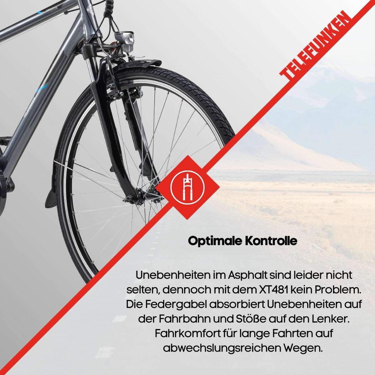 E-BIKE XT481 Trekking Elektrofahrrad 21-Gang Shimano Kettenschaltung, Pedelec, 10Ah, 36V Akku - Anthrazit, Metall (110cm) - Telefunken